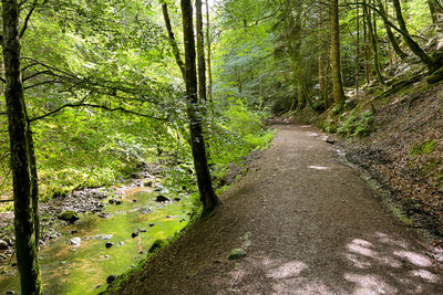 Walk photo