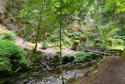 Walk photo