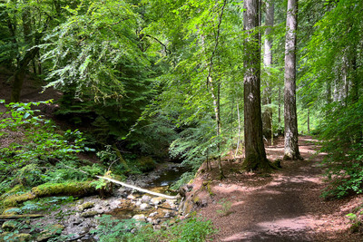 Walk photo