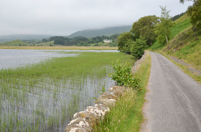 Walk photo