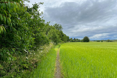 Walk photo