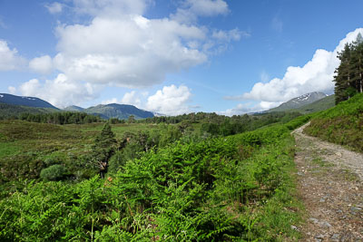 Walk photo
