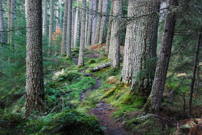 Walk photo
