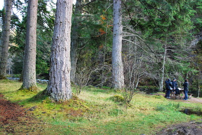 Walk photo