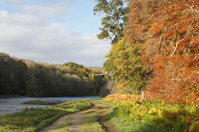 Walk photo
