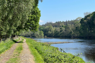 Walk photo