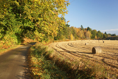 Walk photo