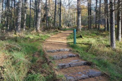 Walk photo