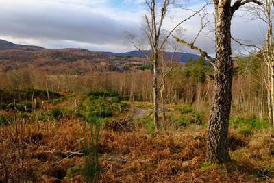 Walk photo