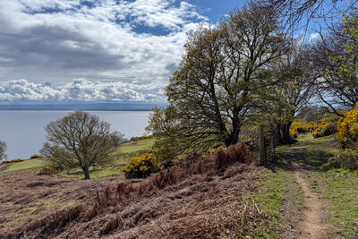 Walk photo