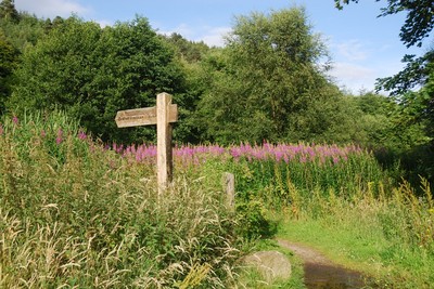 Walk photo