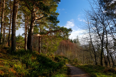 Walk photo