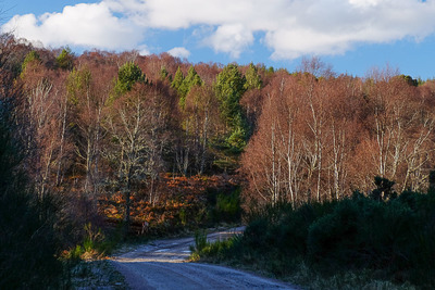 Walk photo