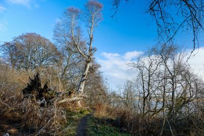 Walk photo