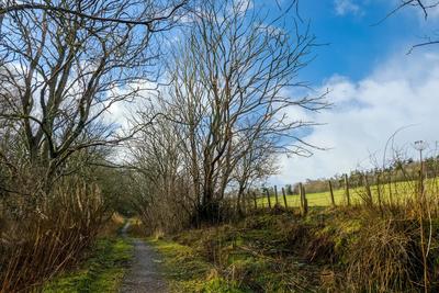 Walk photo