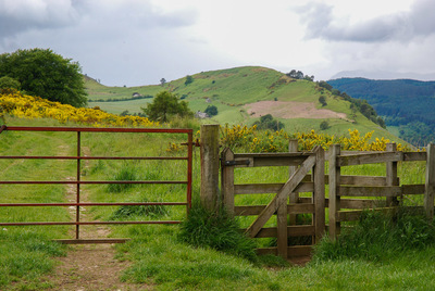 Walk photo