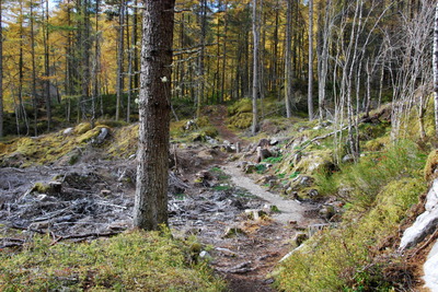 Walk photo
