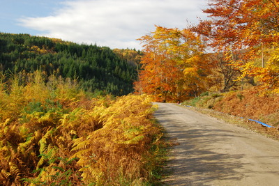 Walk photo