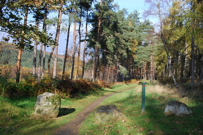 Walk photo