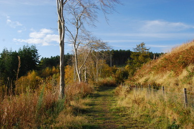 Walk photo