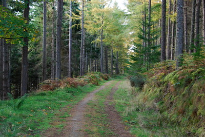 Walk photo