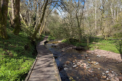 Walk photo