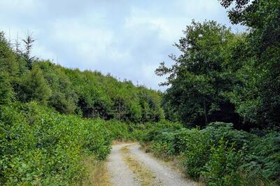 Walk photo