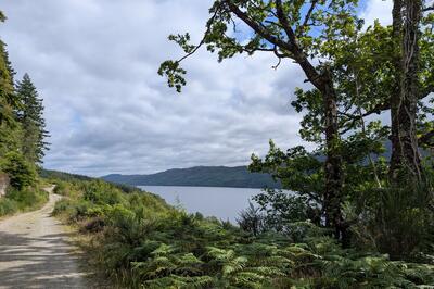 Walk photo