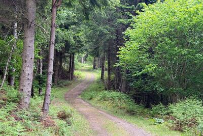 Walk photo