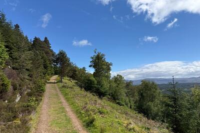 Walk photo