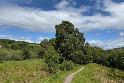 Walk photo