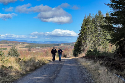 Walk photo