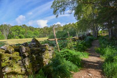 Walk photo