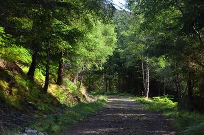 Walk photo