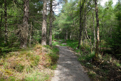 Walk photo