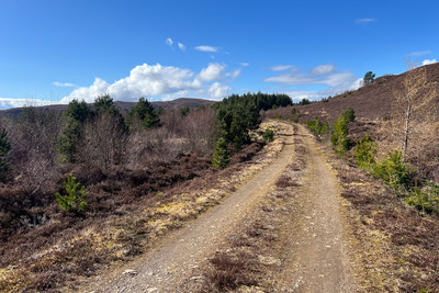 Walk photo