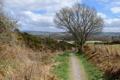 Walk photo