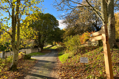 Walk photo