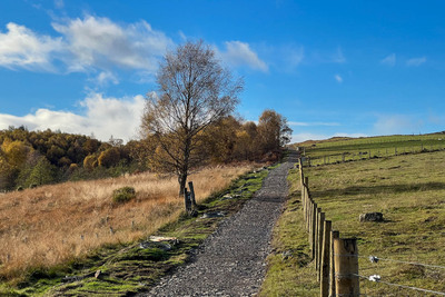 Walk photo