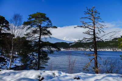 Walk photo