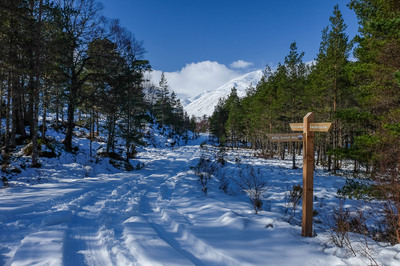 Walk photo
