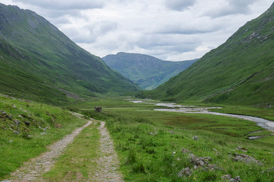 Walk photo