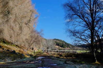 Walk photo