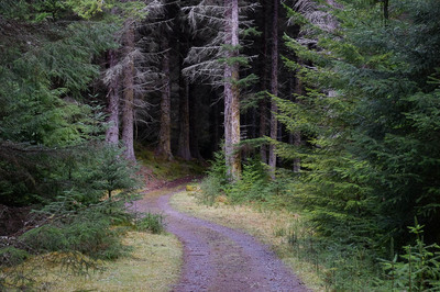 Walk photo
