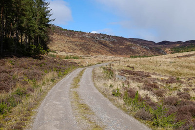 Walk photo