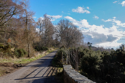 Walk photo