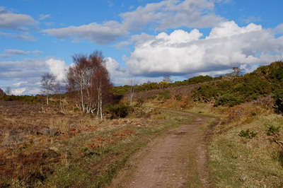 Walk photo