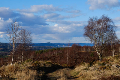 Walk photo