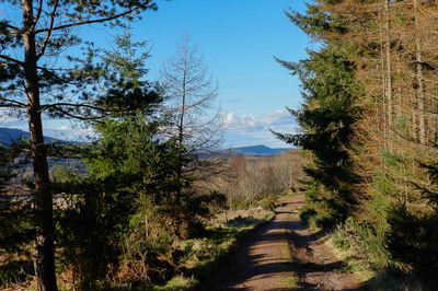 Walk photo