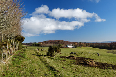 Walk photo